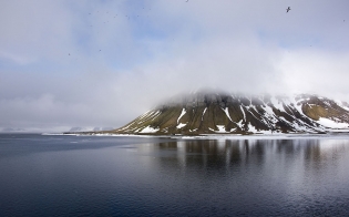 ��� ���� ��������