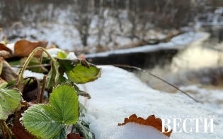 ������� ������ �� 4 �������