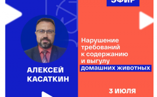 �� ������� ������� ������� ������������ �������� �� ����������� ���������� �������