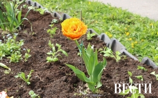 ������������� ����� ������