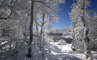 ������� ������ �� 5 ������