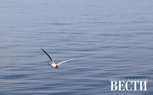 ������� ������ �� 15 ���