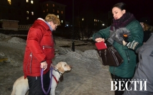 ���������� ����� ���������� ������� ������