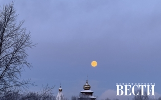 ������� ������ �� 7 ������