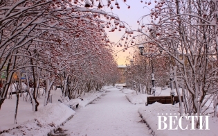 ������������ ���������� � ��������