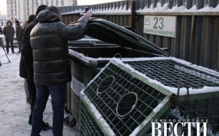 ��������� ���������