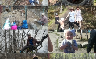 "��� ���� �� ������": ��������