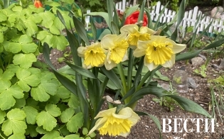 ������� ������ �� 26 ����