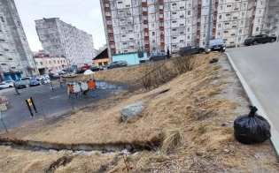 ����� �������� �������