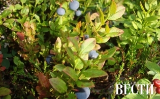 ��� ��������� ���������� �������