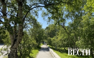 ������� ������ �� 2 ����