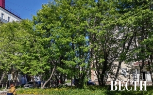 ������� ������ �� 23 ����