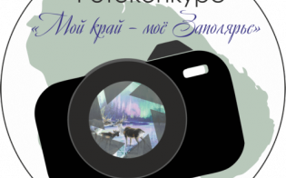 ��� ���� - ��� ���������