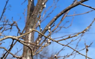 ������� ������ �� 26 �����