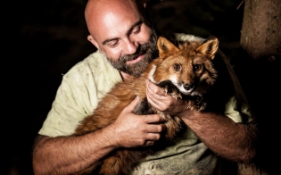 ������������ ���� � �������� ���������