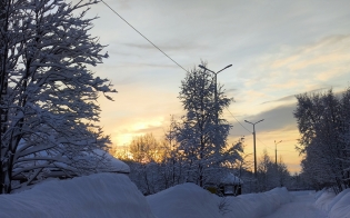 ������� ������ �� 17 �������