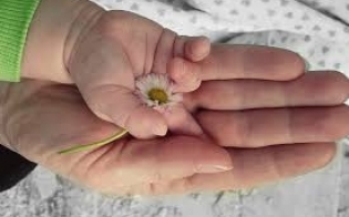 �����������!