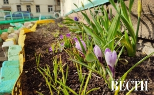 � ������ �����!