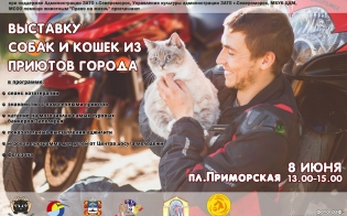 ���� ������ ����� ������