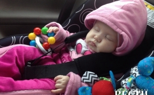 ������������ � �������