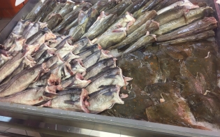 ���� ������������ 