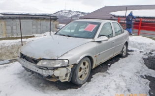 ���� ��������� ����������