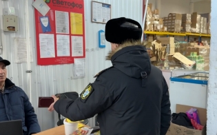 ���� ������� ������