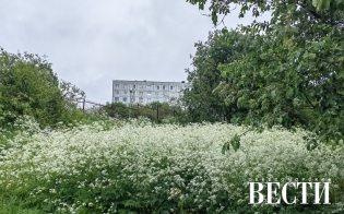 ������� ������ �� 30 ����