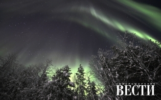 ������� ������ �� 23 �������