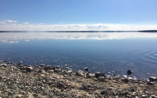 ���� ������� �������������