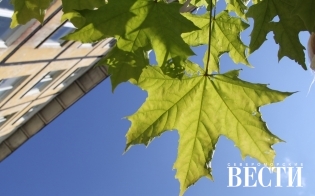 ������� ������ �� 29 ����