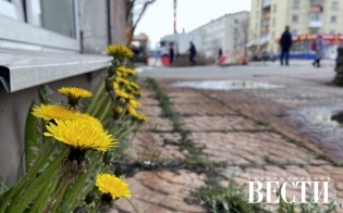 ������� ������ �� 19 ���