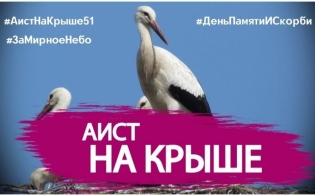 ����� ����� "���� �� �����"