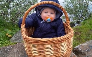 ����������� "�������� ���������"