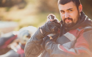 � ����� ������� � ����, ���� � �����