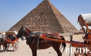 ����� ������ �������