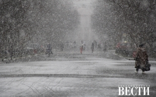 ��������� ������ �� �����������