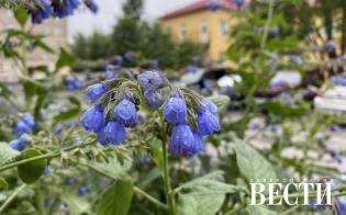 ������� ������ �� 24 ����