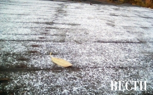 ����� "�������������"