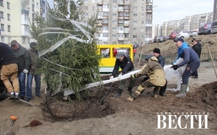 �� ����� ���� �� ��.�������, 10, �������� ���