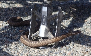 ����� ��������������� �������� ���� ��������� �� �������� �����