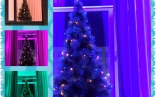 ���������� ���������� ������� ��������