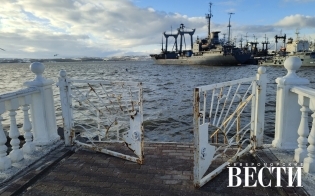 ������� ������ �� 29 ������