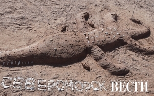 ���� �� �������