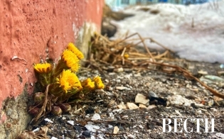 ������� ������ �� 23 ������