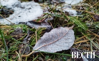 ������� ������ �� 31 �������