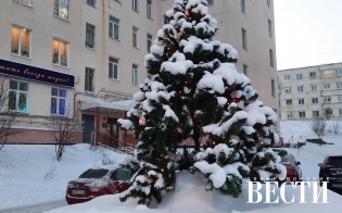 ������� ������ �� 28 ������