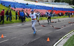 � ��������-����������