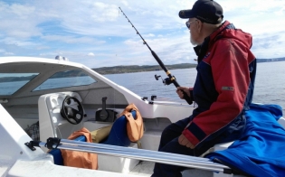 ����������� ���� - 2018