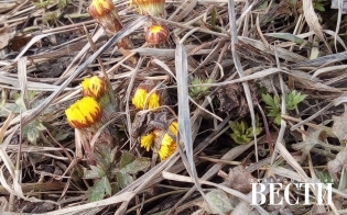 ������� ������ �� 24 ������